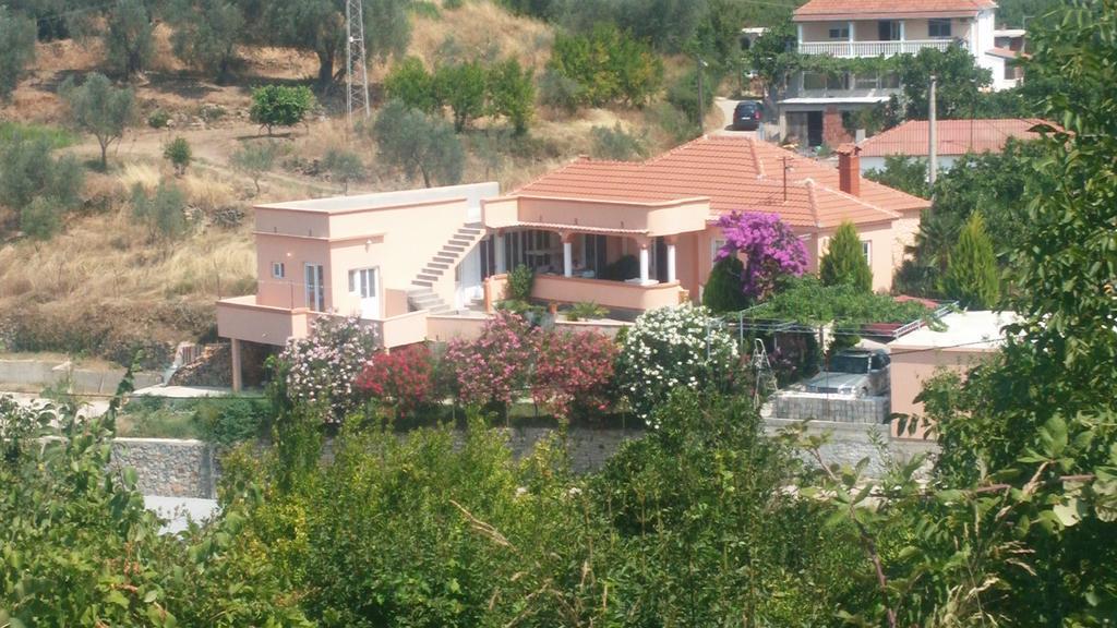 Guest'S House "Lindi&Roni" Daire Ülgün Oda fotoğraf